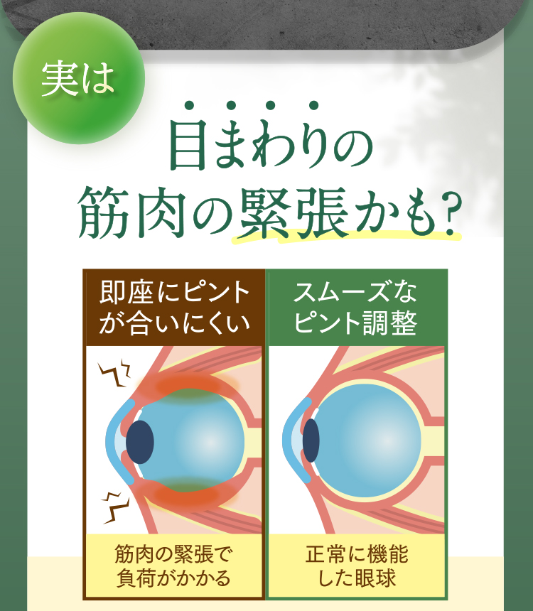 実は目まわりの筋肉の緊張かも?